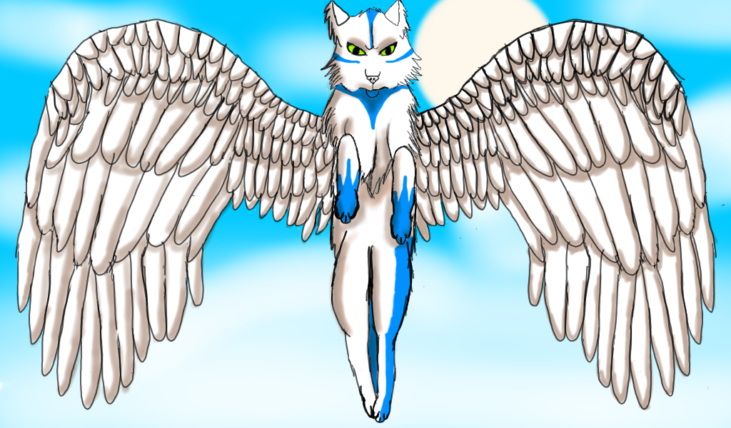 Sky Takes Flight Sky Takes Flight