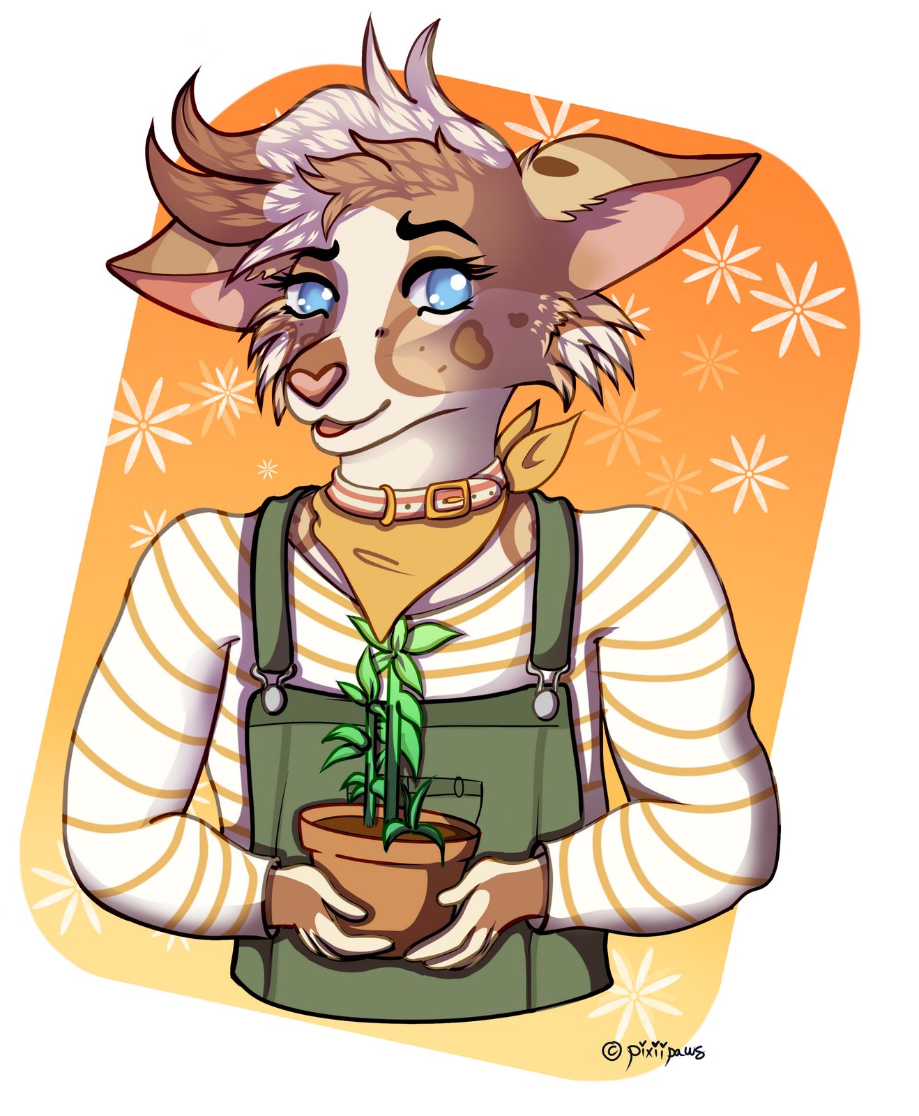 Plant Momma