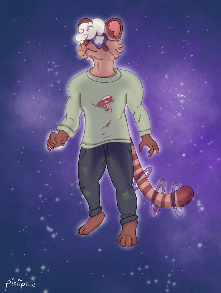 Spaceman (trade) Spaceman